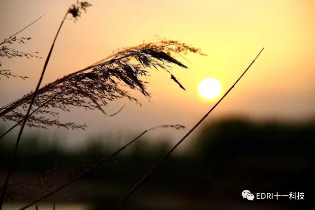 1496418537106974.jpg 無3.webp.jpg