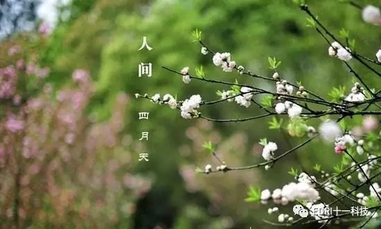 1496507654889820.jpg 9.webp.jpg