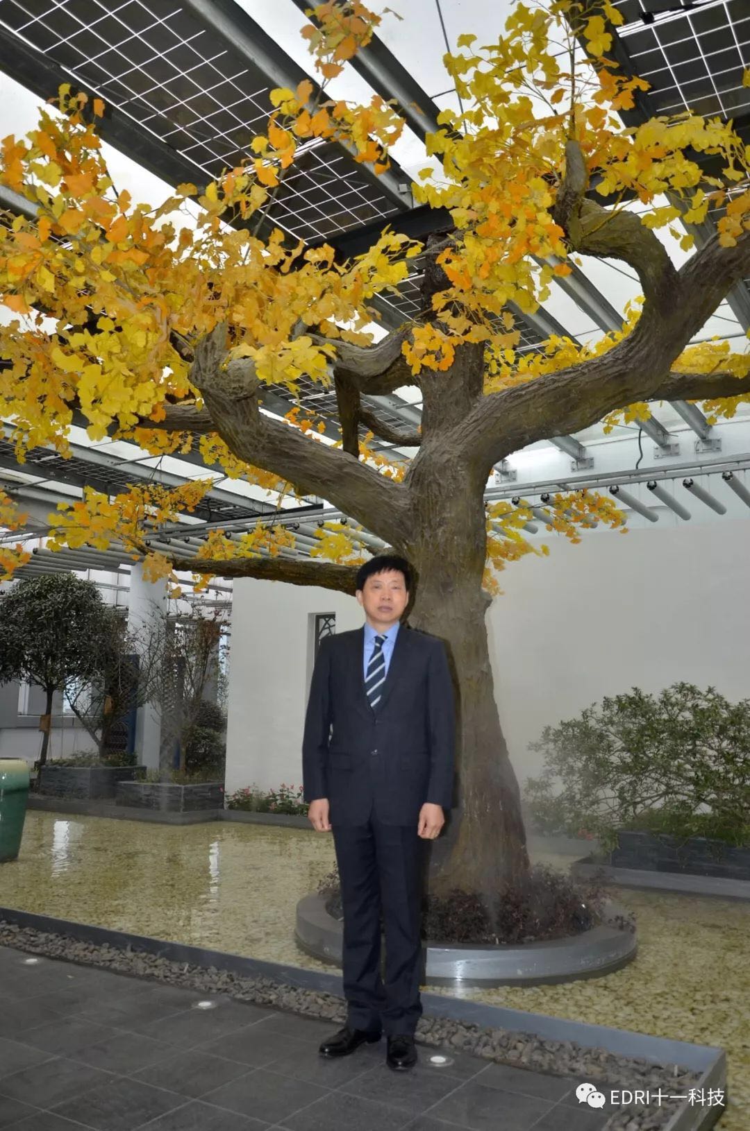 1516872845759479.jpg 10.jpg