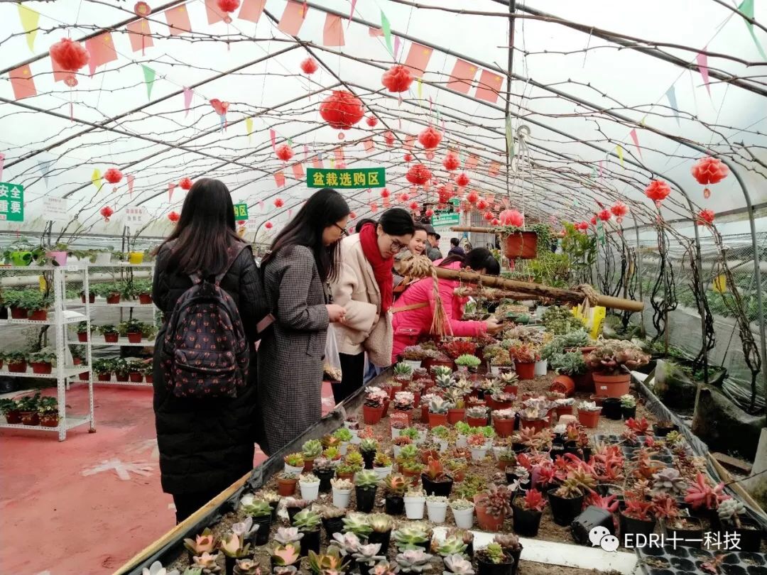 1552272752370283.jpg 6.jpg